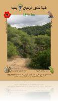 brochure_foret_cover.jpg
