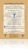 brochure02_foret_2.jpg