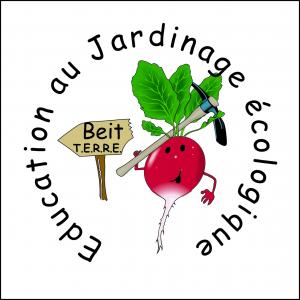 Image Active