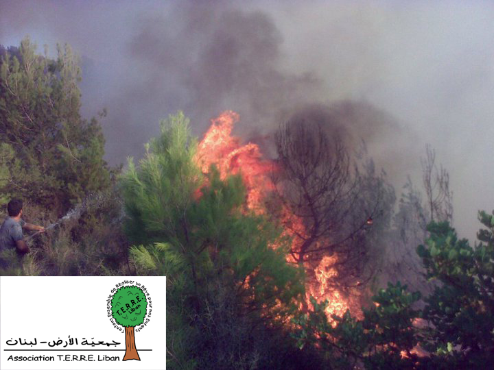 Incendies de forêt Baabda T.E.R.R.E.Liban