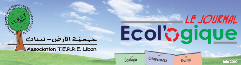Ecol'ogique 2010