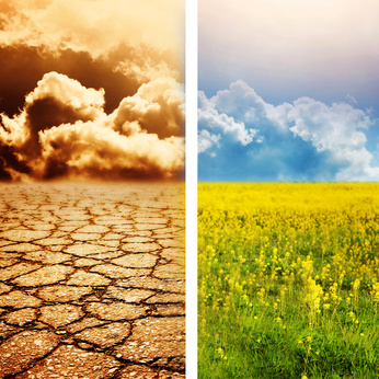 Editorial Journal Ecol'ogique - Changements Climatiques