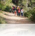 7_12_08_Babda_Forest_Opening_101_1.jpg