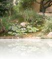 DSCN0097.JPG