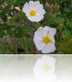 DSCN0391.JPG