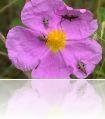 DSCN1156.JPG