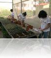 DSCN1203.JPG