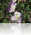 DSCN1139.JPG