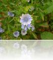 DSCN1084.JPG