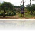 DSC04749.jpg